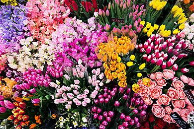 PS5用户现在可以注册系统软件Beta项目 抢先体验PS5的新功能